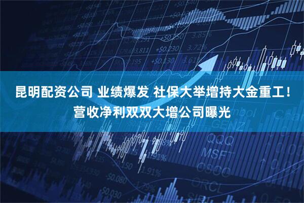 昆明配资公司 业绩爆发 社保大举增持大金重工！营收净利双双大增公司曝光
