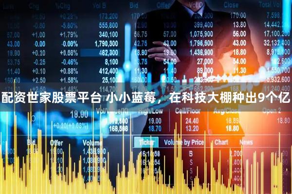 配资世家股票平台 小小蓝莓，在科技大棚种出9个亿