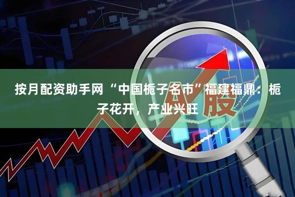 按月配资助手网 “中国栀子名市”福建福鼎：栀子花开，产业兴旺