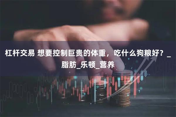 杠杆交易 想要控制巨贵的体重，吃什么狗粮好？_脂肪_乐顿_营养