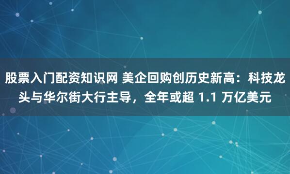 股票入门配资知识网 美企回购创历史新高：科技龙头与华尔街大行主导，全年或超 1.1 万亿美元