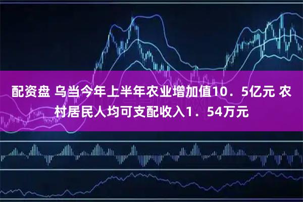 配资盘 乌当今年上半年农业增加值10．5亿元 农村居民人均可支配收入1．54万元
